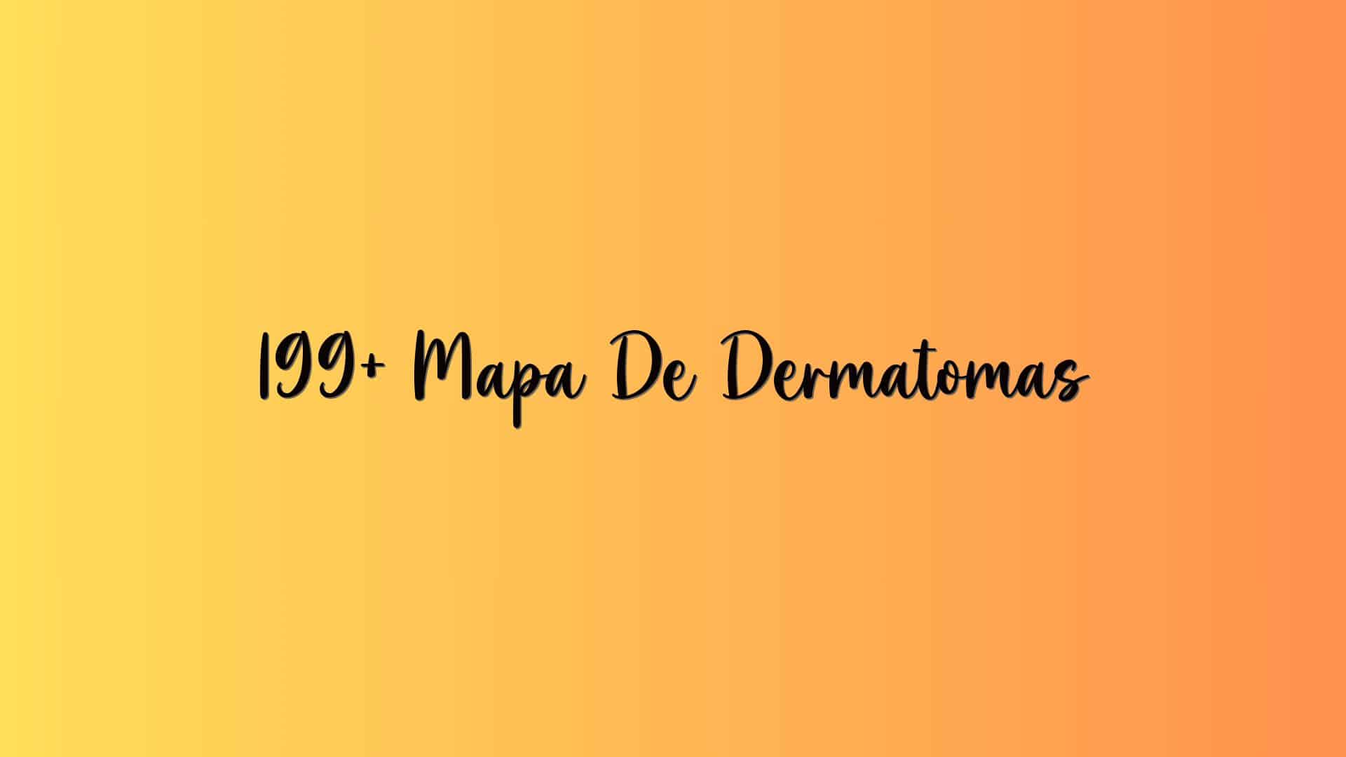 199+ Mapa De Dermatomas